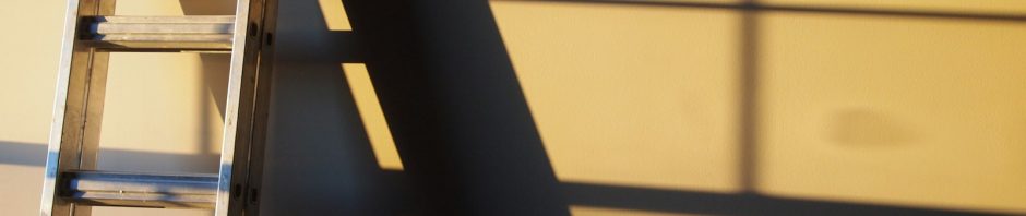 An aluminum ladder leaning against a sunlit wall